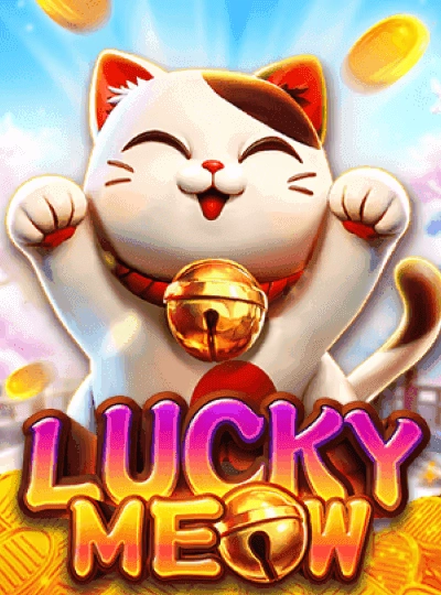 qq333
